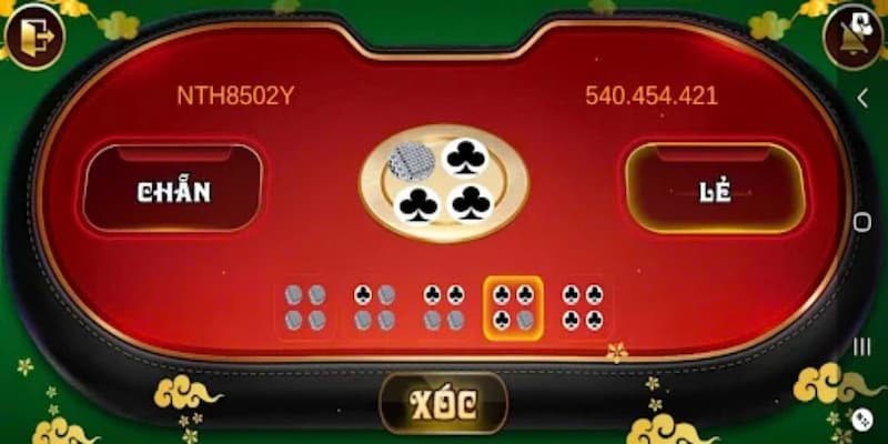 Basic rules before playing the dice game