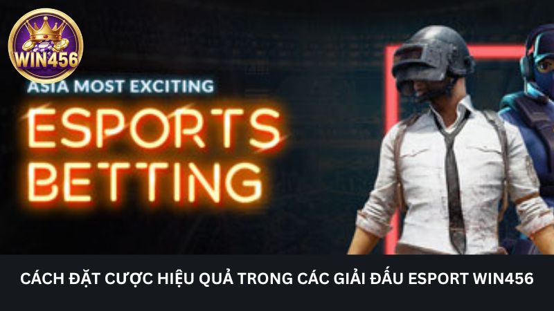How to bet effectively in esport tournaments Win456
