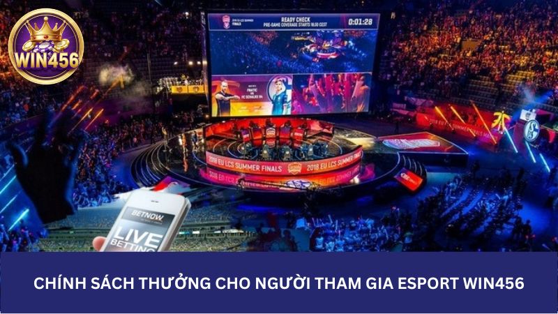 Bonus policy for Win456 esport participants