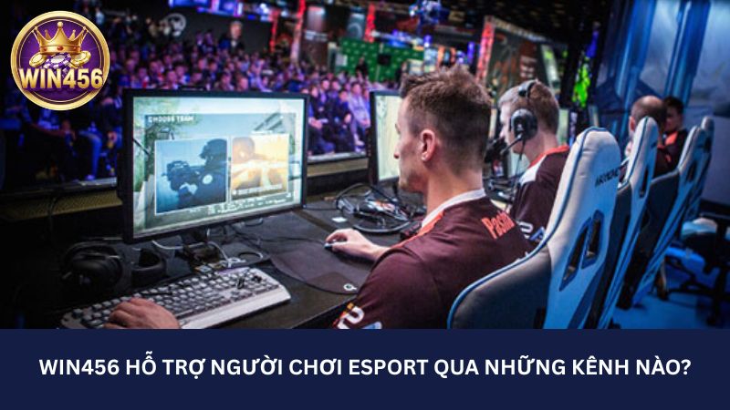 What channels does Win456 support esport players through?